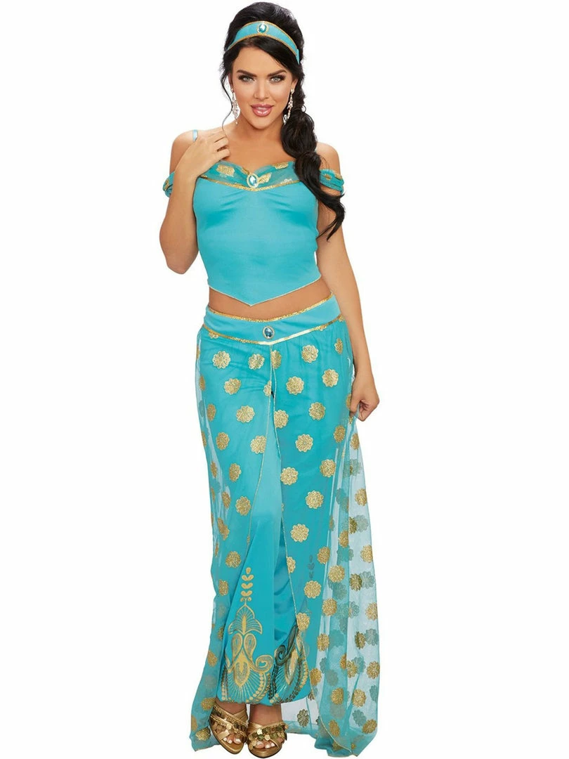 Dreamgirl Costumes Arabian Princess Womens Princess Jasmine Costume 1 Dreamgirl Costumes Arabian Princess Womens Princess Jasmine Costume