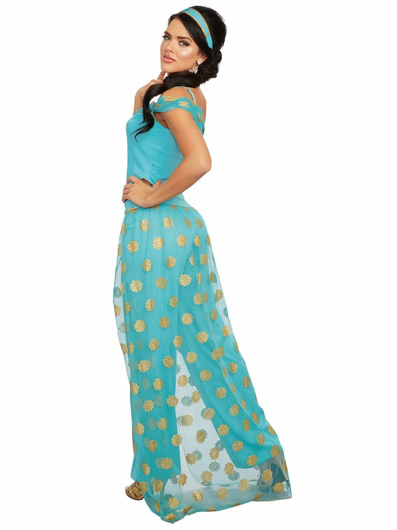 Dreamgirl Costumes Arabian Princess Womens Princess Jasmine Costume 2 Dreamgirl Costumes Arabian Princess Womens Princess Jasmine Costume